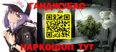 индика Дубна