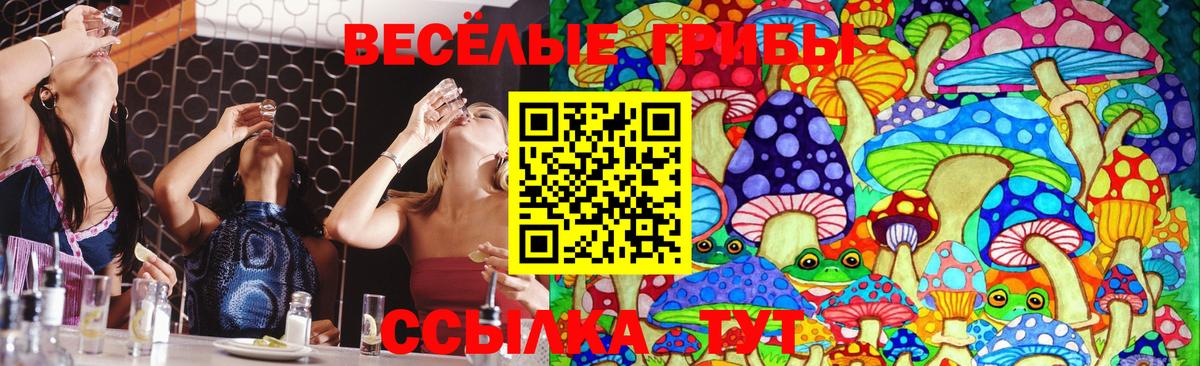 Галлюциногенные грибы мухоморы Темрюк