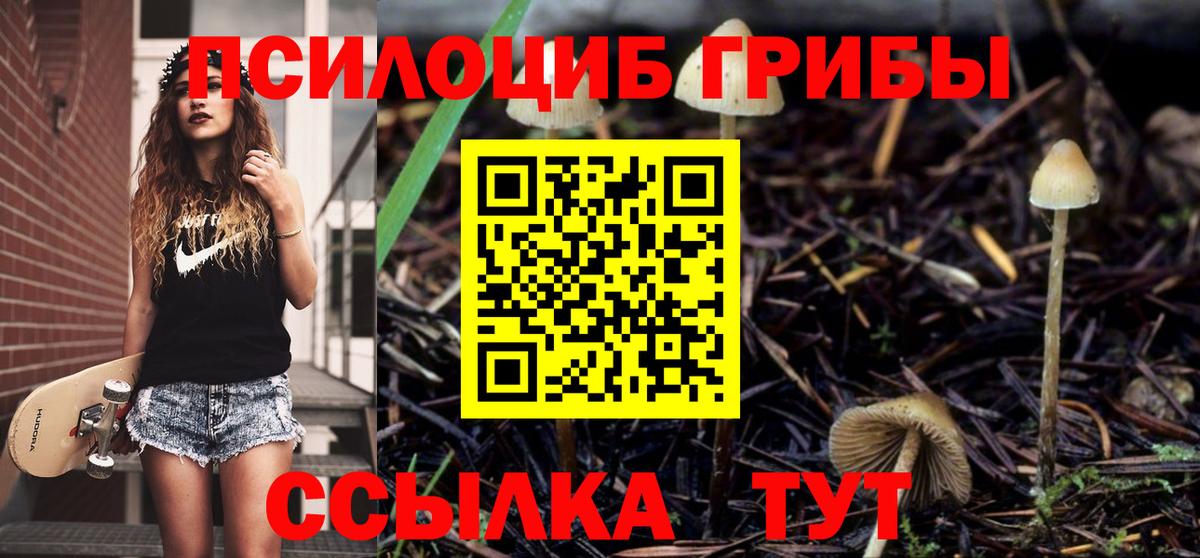 Псилоцибиновые грибы Psilocybe  Псилоцибиновые грибы GOLDEN TEACHER  Вход с VPN  Темрюк 